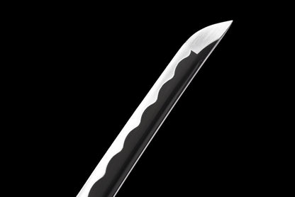 Kyōka Suigetsu Katana