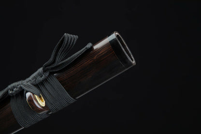 Katana Ryūsei Kaeru